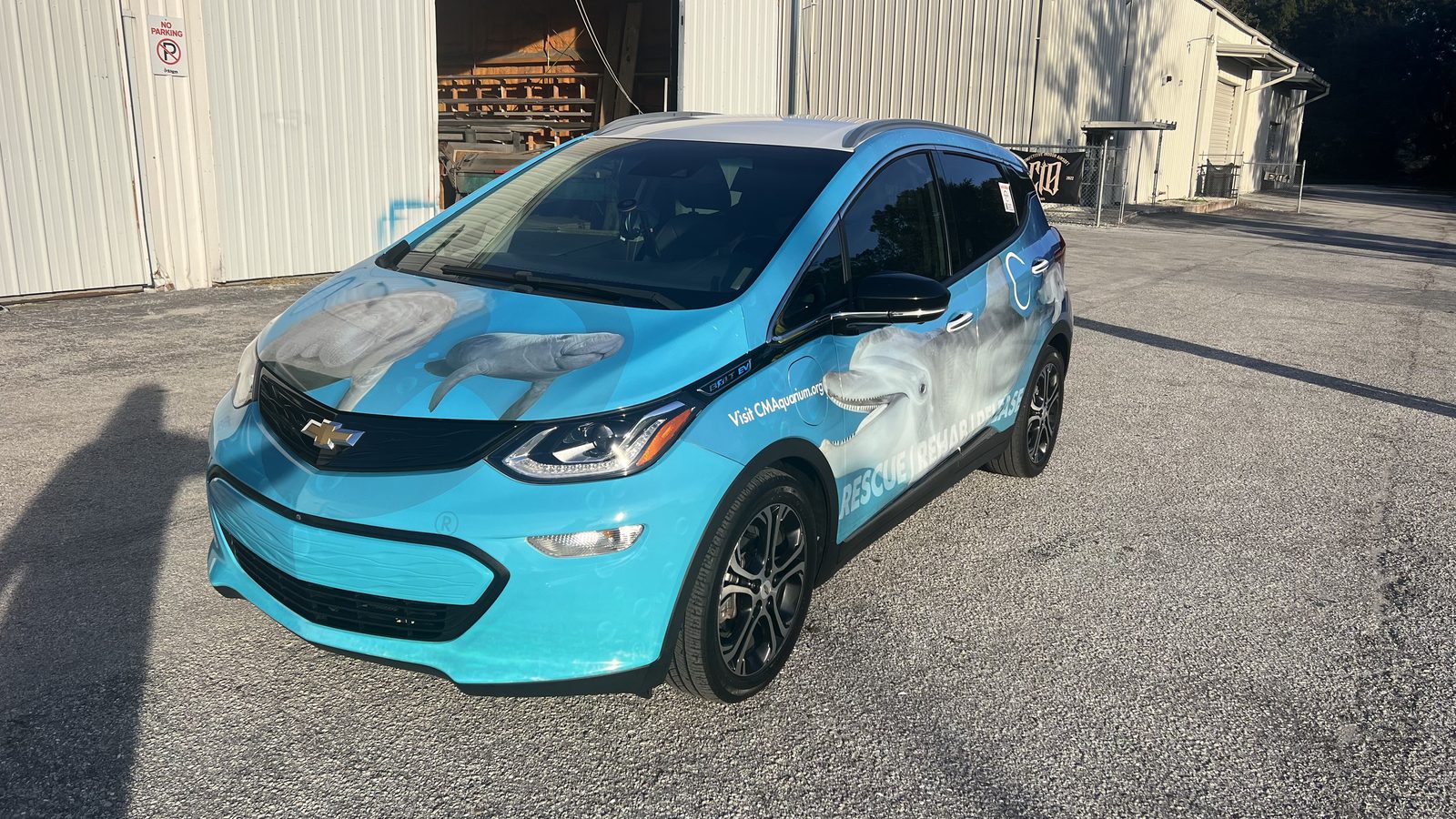 Vehicle wrap